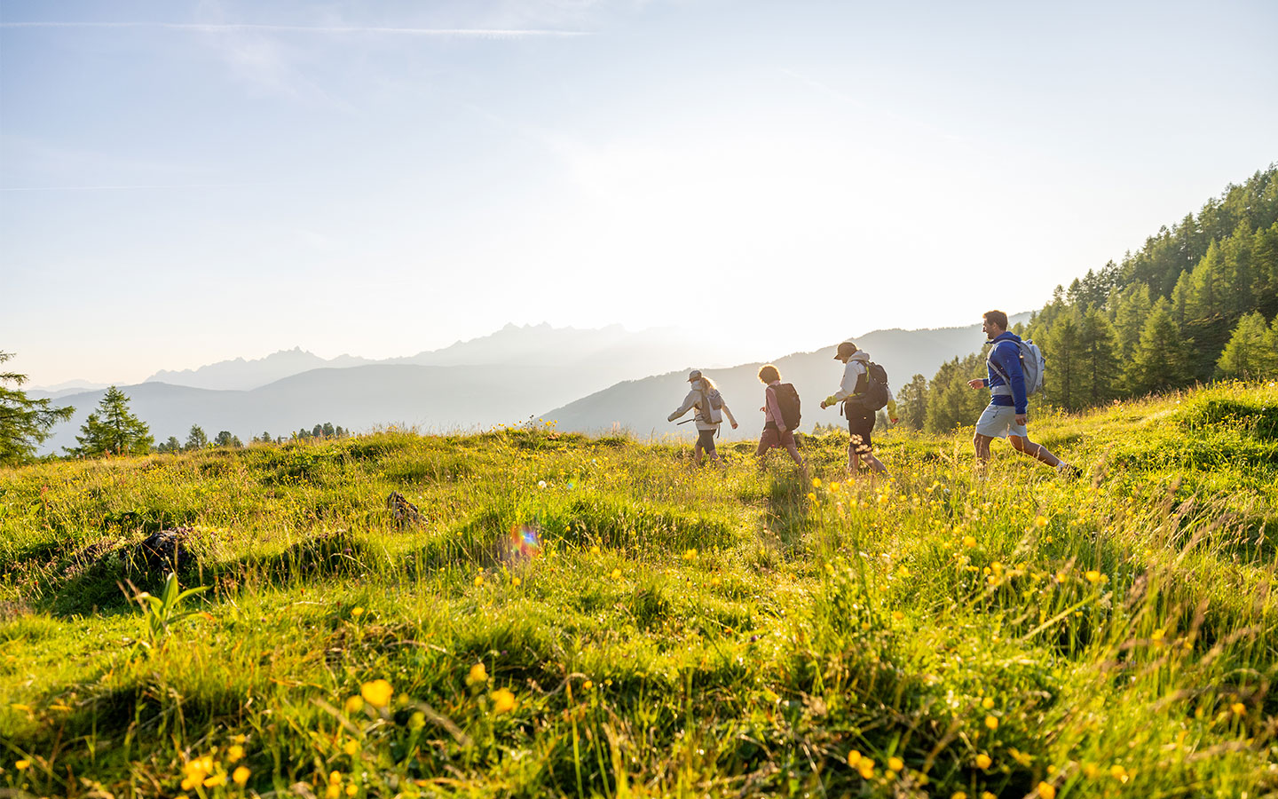 Wandern im Sommer